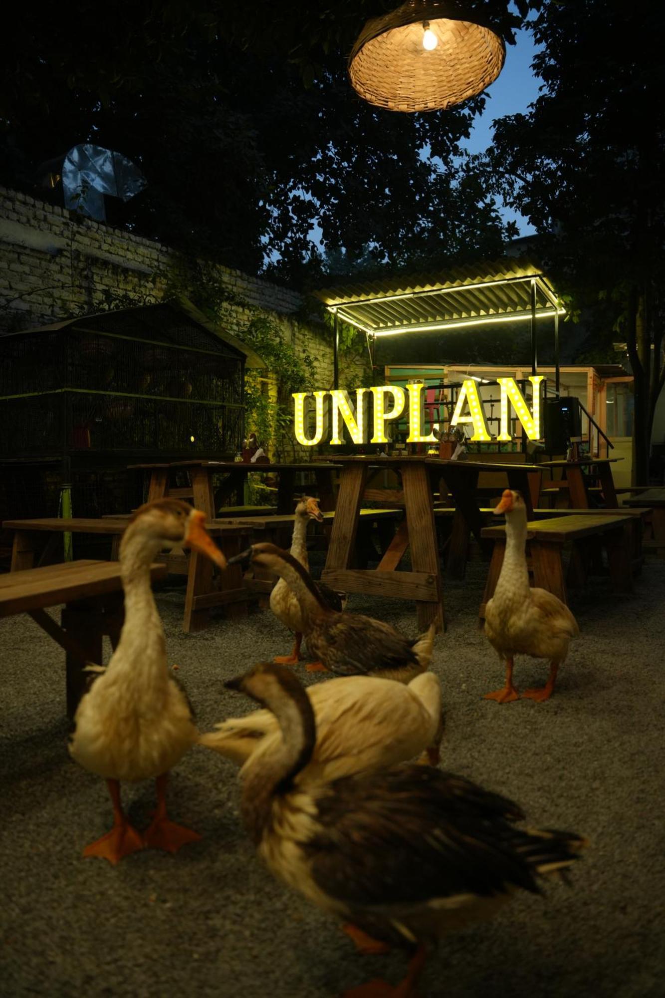 Unplanned Hostel Udaipur Bagian luar foto